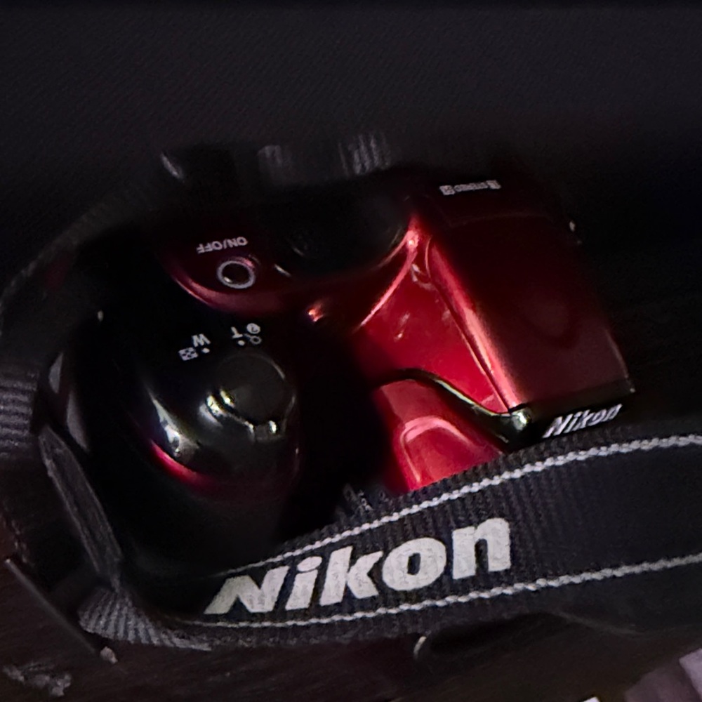Nikon Burgundy Digital Camera with 30x Zoom - Picture 2 of 7